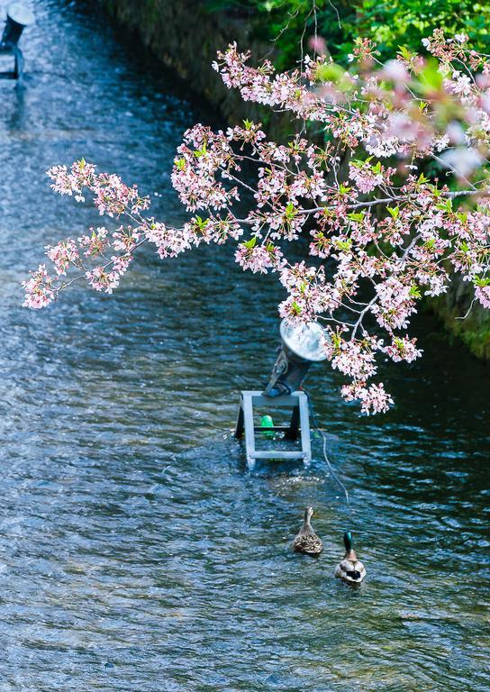 Kumomachiya Takasegawa Villa เกียวโต ภายนอก รูปภาพ