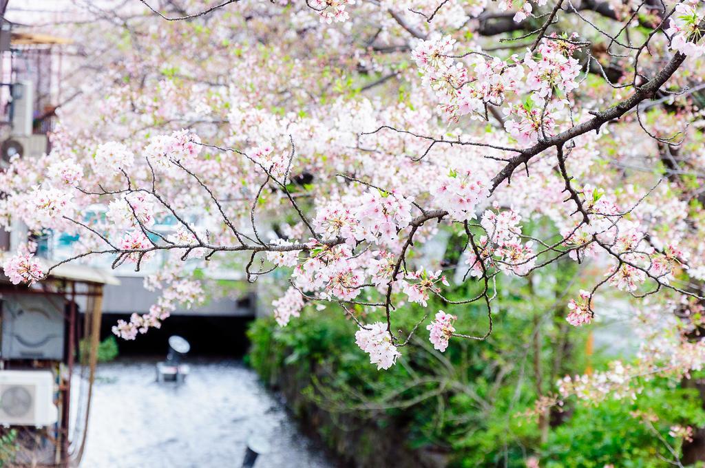Kumomachiya Takasegawa Villa เกียวโต ภายนอก รูปภาพ
