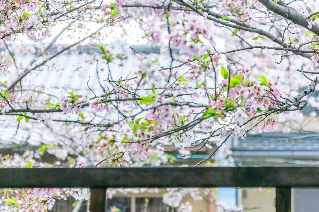 Kumomachiya Takasegawa Villa เกียวโต ภายนอก รูปภาพ
